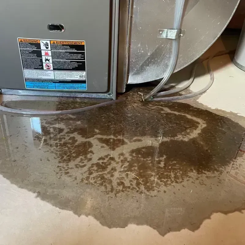 Appliance Leak Cleanup in Mason City, IL